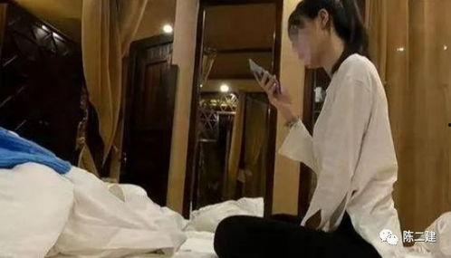 夯先生 系列 在线视频,探索传统文化与现代生活的交融之美